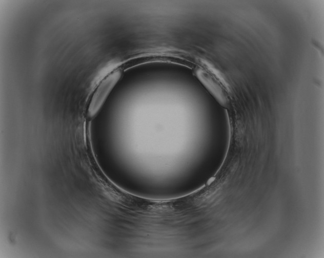X0000091491320200708231413