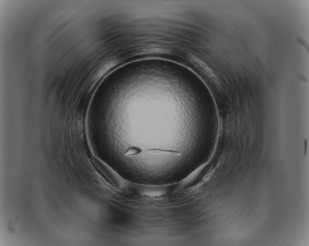 X0000091491321200708231413