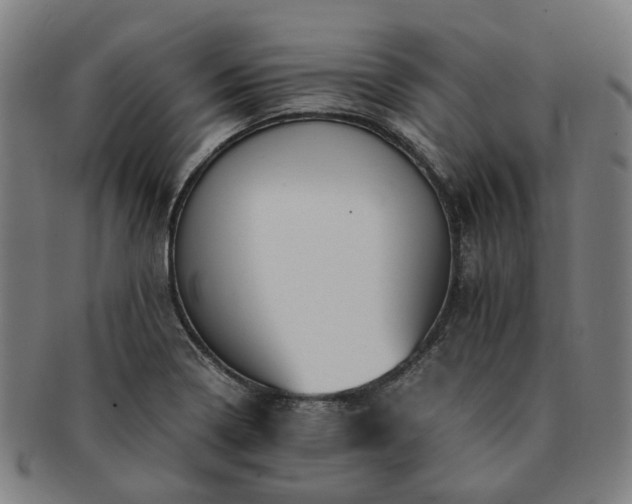 X0000091491322200708231413