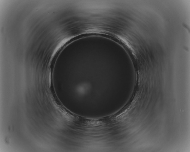 X0000091491323200708231413