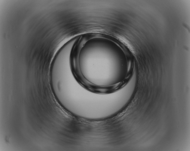 X0000091491324200708231413