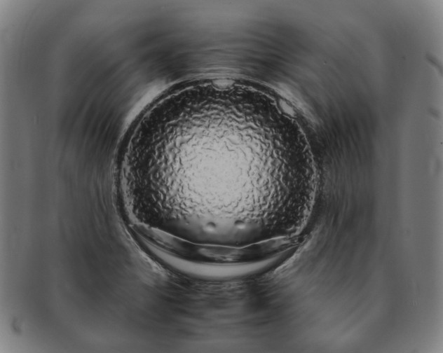 X0000091491325200708231413