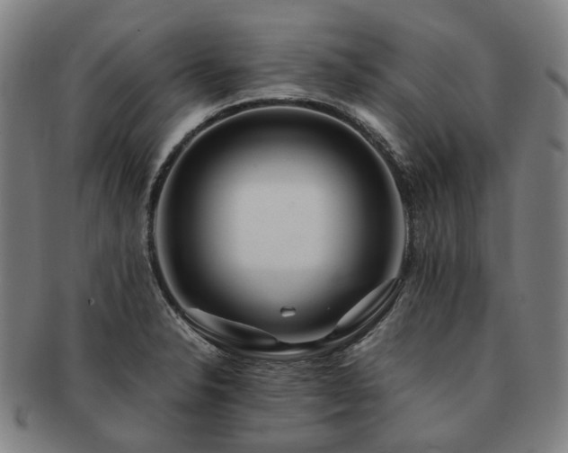 X0000091491326200708231413