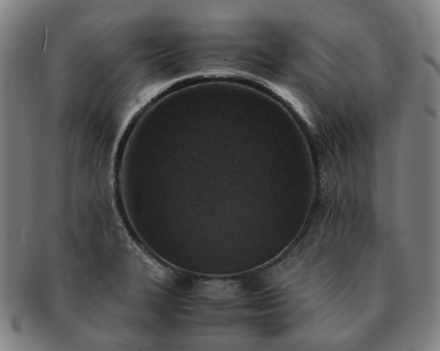 X0000091491327200708231413