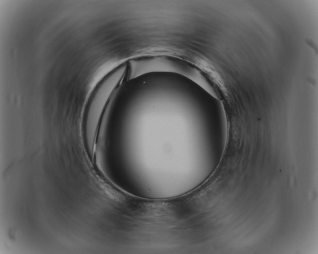 X0000091491328200708231413
