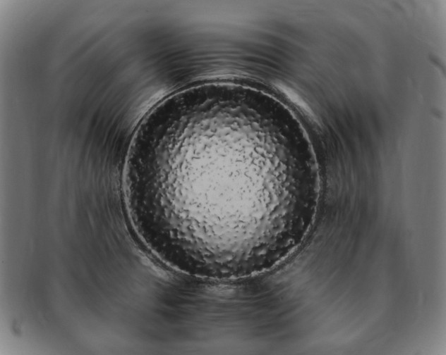 X0000091491329200708231413