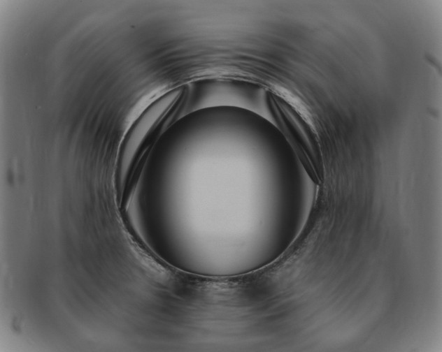 X0000091491330200708231413