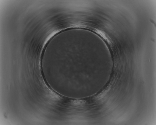 X0000091491331200708231413