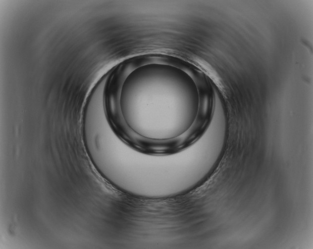 X0000091491332200708231413