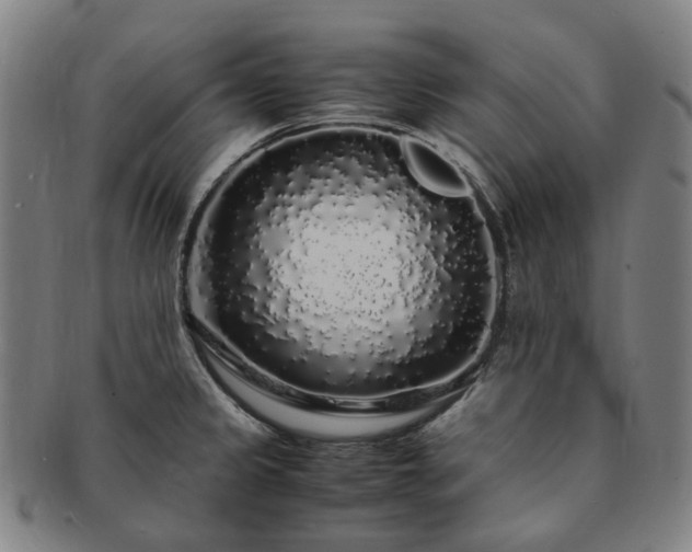 X0000091491333200708231413