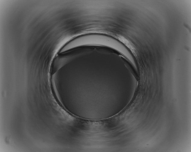 X0000091491334200708231413