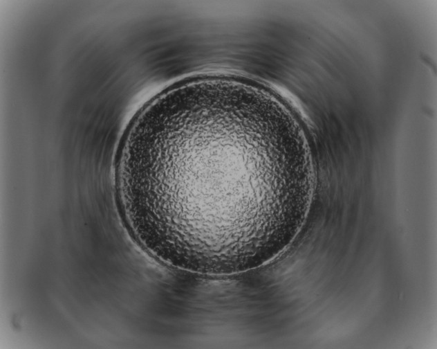 X0000091491335200708231413