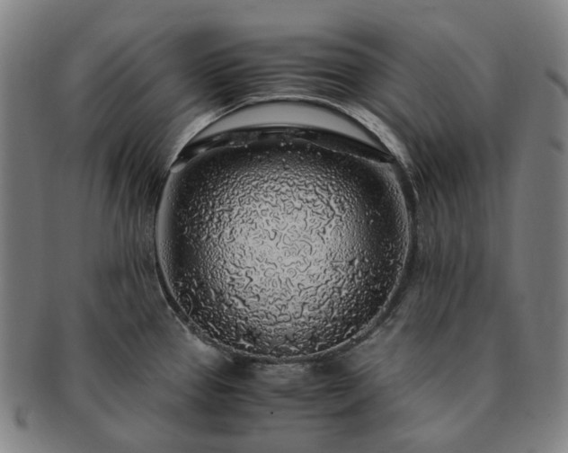 X0000091491337200708231414
