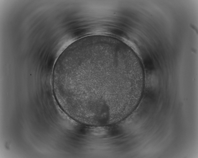 X0000091491338200708231414