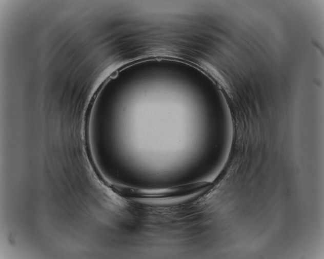 X0000091491339200708231414