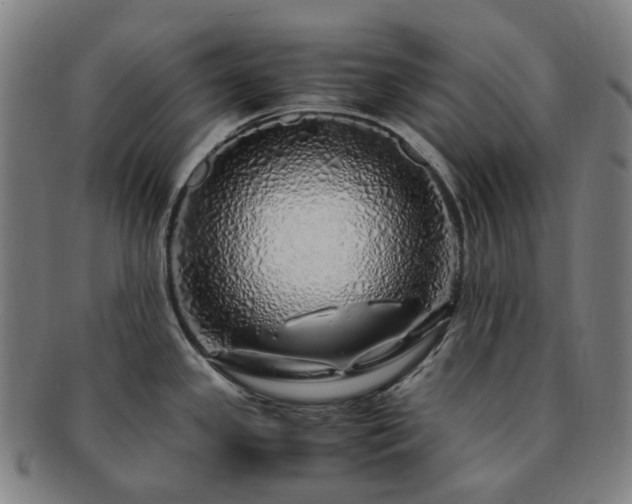 X0000091491341200708231414
