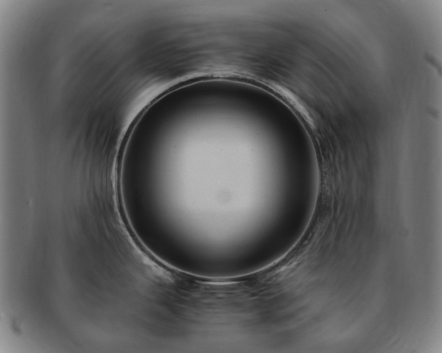 X0000091491343200708231414