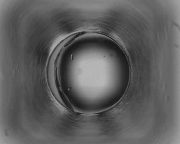X0000091491344200708231414
