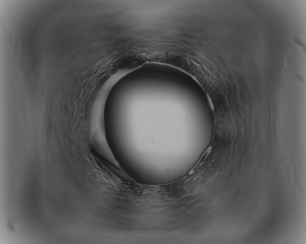 X0000091491345200708231413