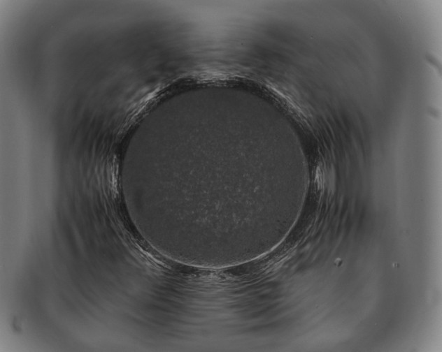 X0000091491348200708231413