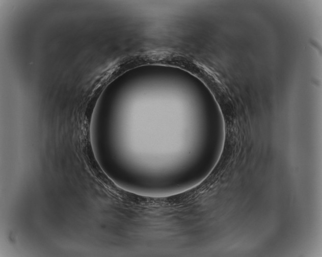 X0000091491349200708231413
