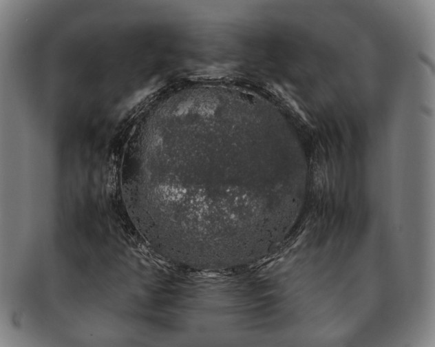 X0000091491350200708231413