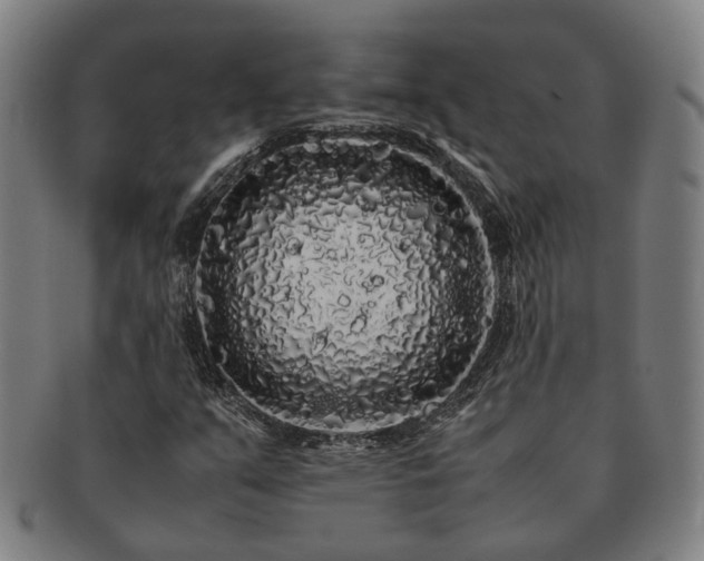 X0000091491351200708231413