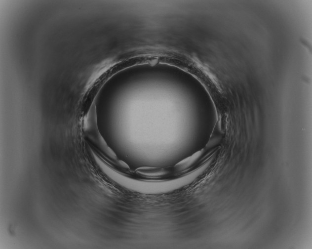 X0000091491352200708231413