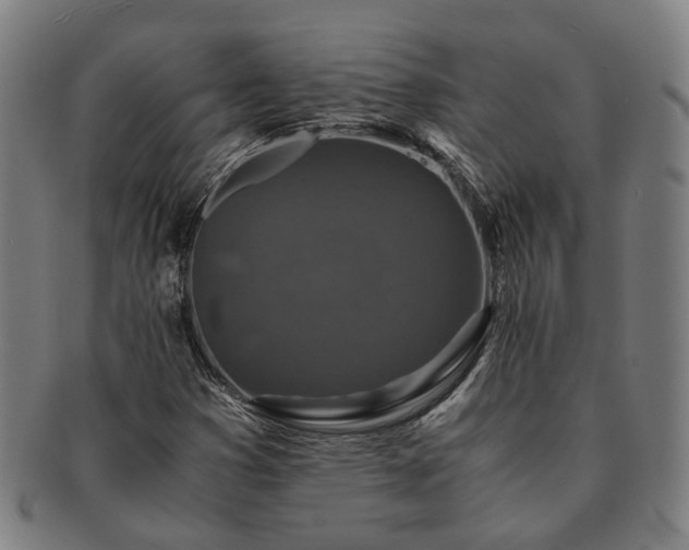 X0000091491353200708231413