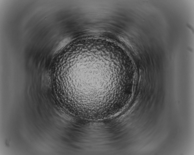 X0000091491354200708231413