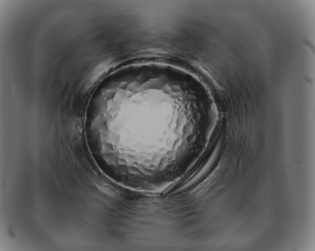 X0000091491355200708231413