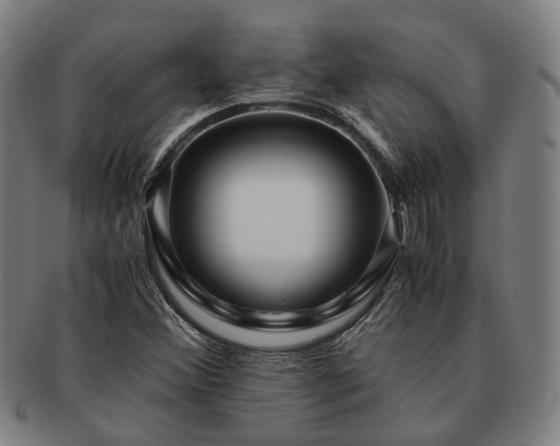 X0000091491356200708231413