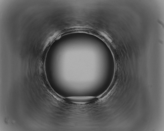 X0000091491357200708231413