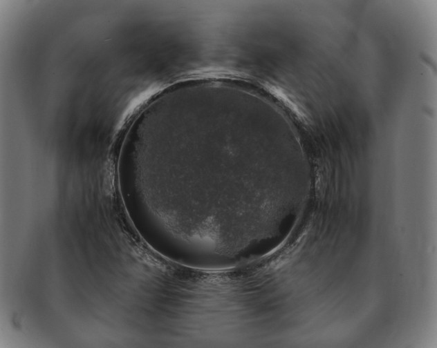 X0000091491358200708231413