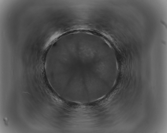 X0000091491359200708231413