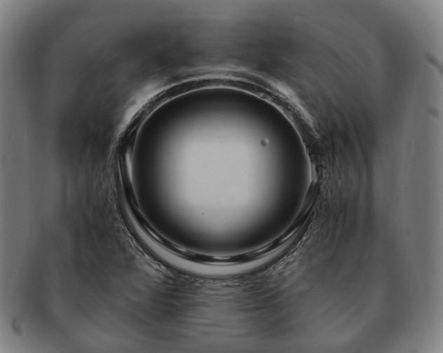X0000091491360200708231413