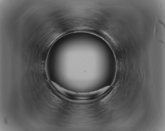 X0000091491361200708231413