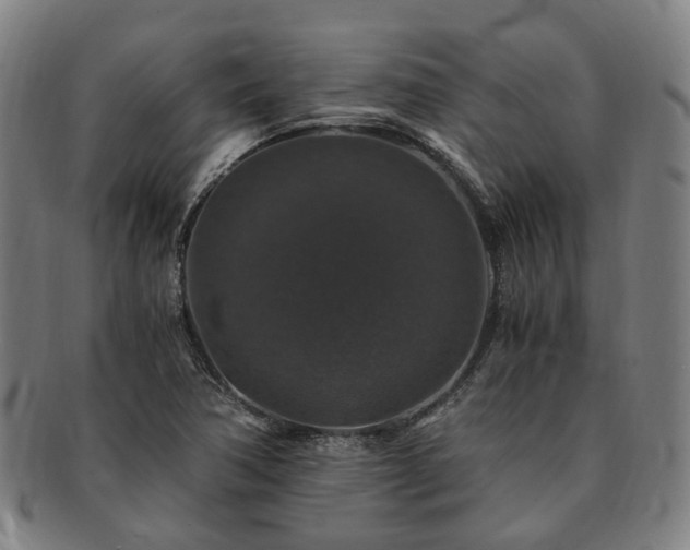 X0000091491362200708231413