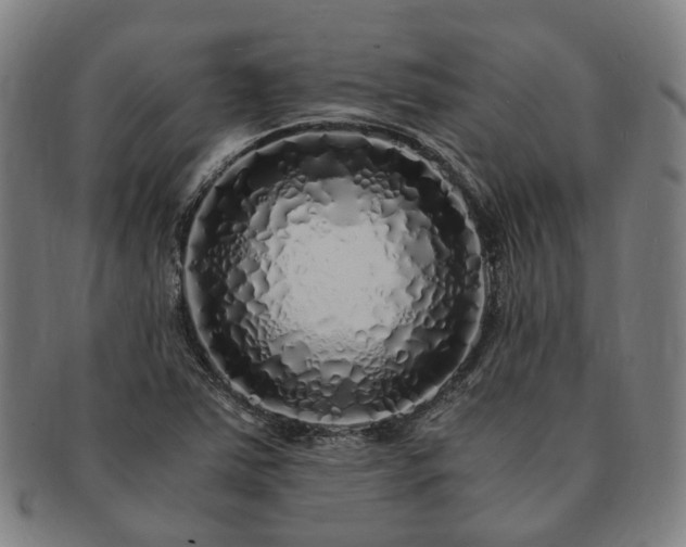 X0000091491363200708231413