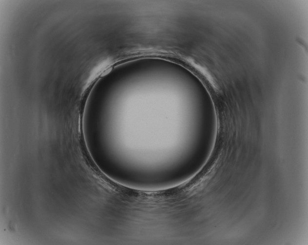 X0000091491365200708231413