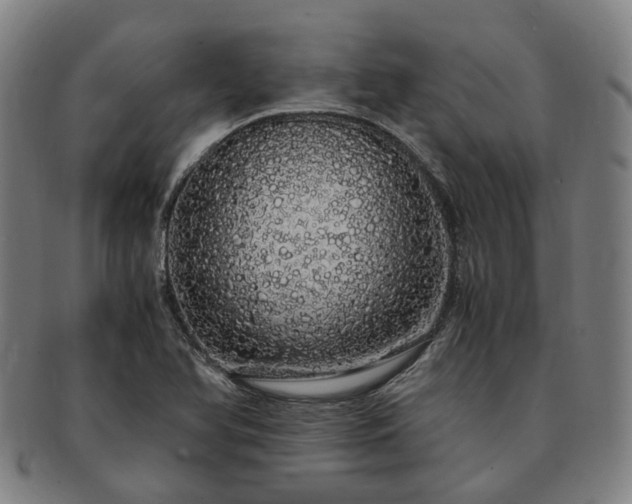 X0000091491366200708231413