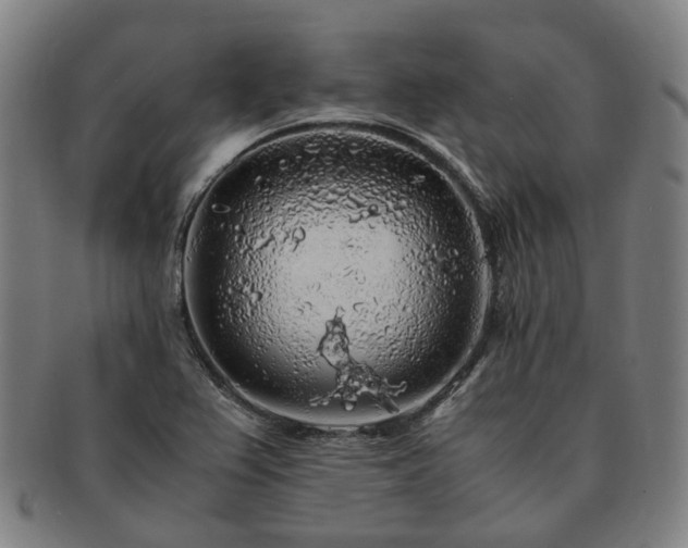 X0000091491367200708231413