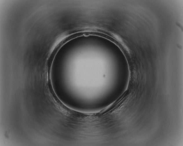 X0000091491368200708231413