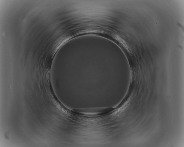 X0000091491369200708231413