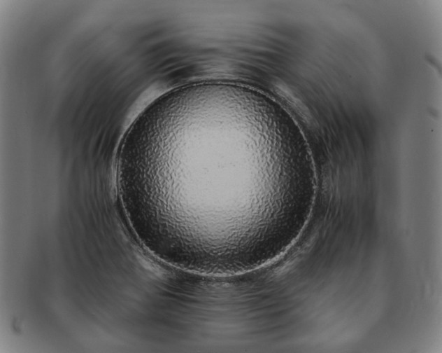 X0000091491370200708231413