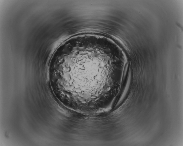 X0000091491371200708231413