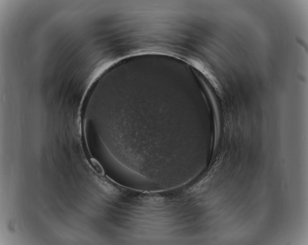 X0000091491372200708231413