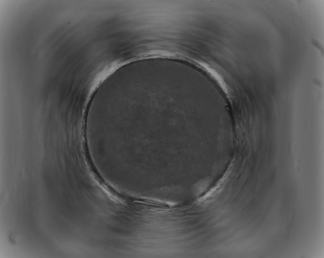 X0000091491373200708231413