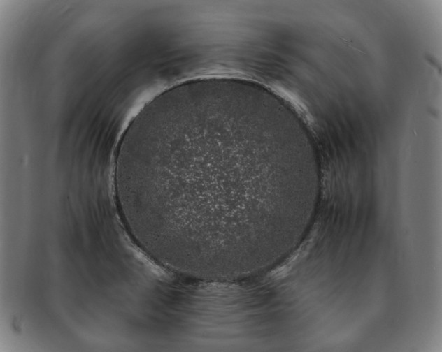 X0000091491374200708231413