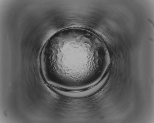 X0000091491375200708231413